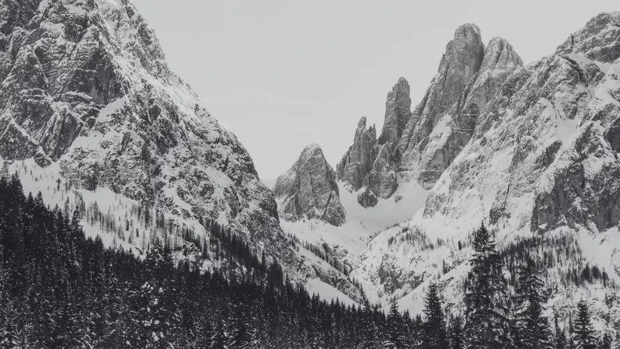 Vallée alpine enneigée bordée de forêts